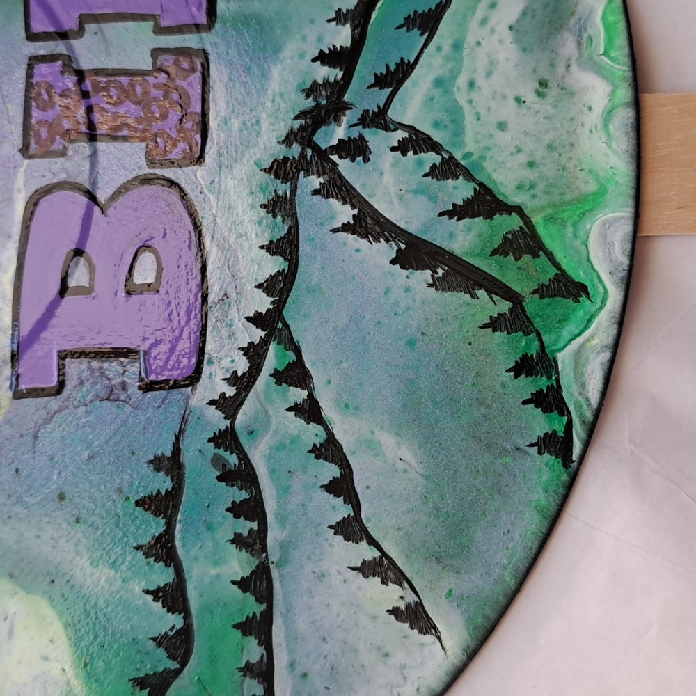 Hand Crafted Vinyl Record Sign DO NOT BID Auction Paddle Acrylic Fluid Art - Picture 4 of 9